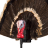 Gobbler Fan Turkey Decoy
